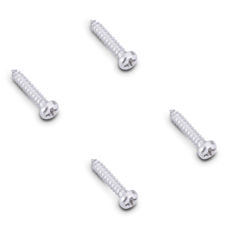 Four metal screws on a white background