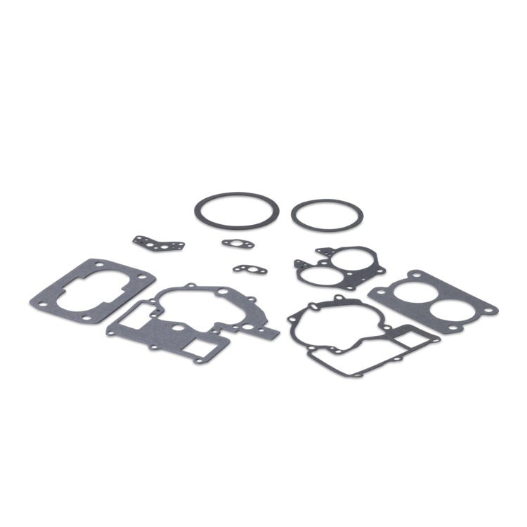 Set of Sierra carburetor gaskets and seals on a white background