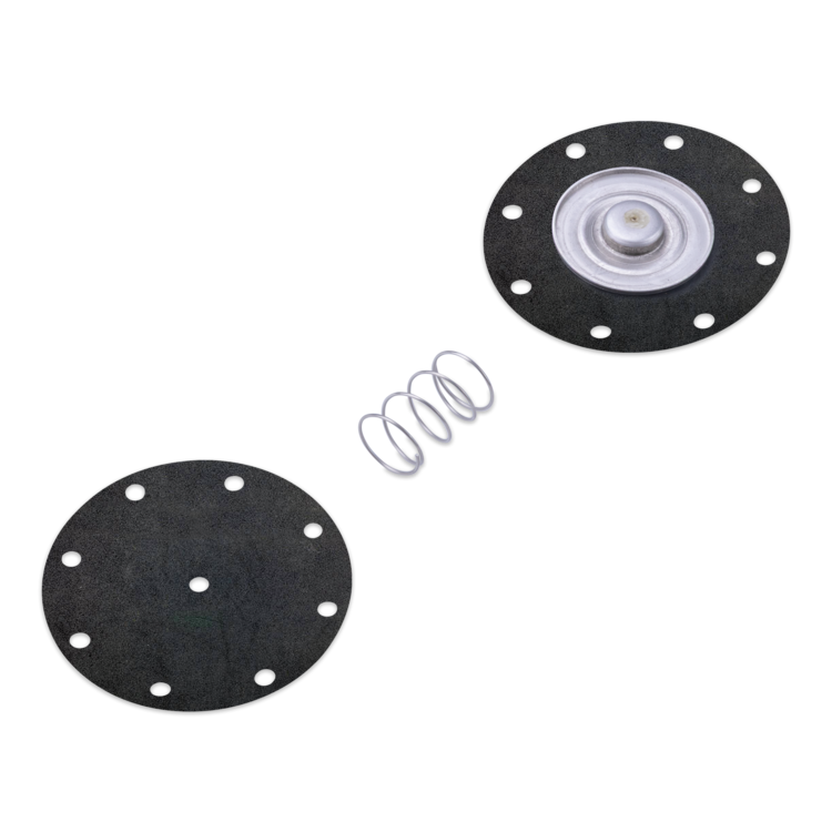 A fuel pump diaphragm kit with a silver metal spring, shown on a plain white background. The kit includes two round black discs with pre-drilled holes and a silver metal spring in the center.