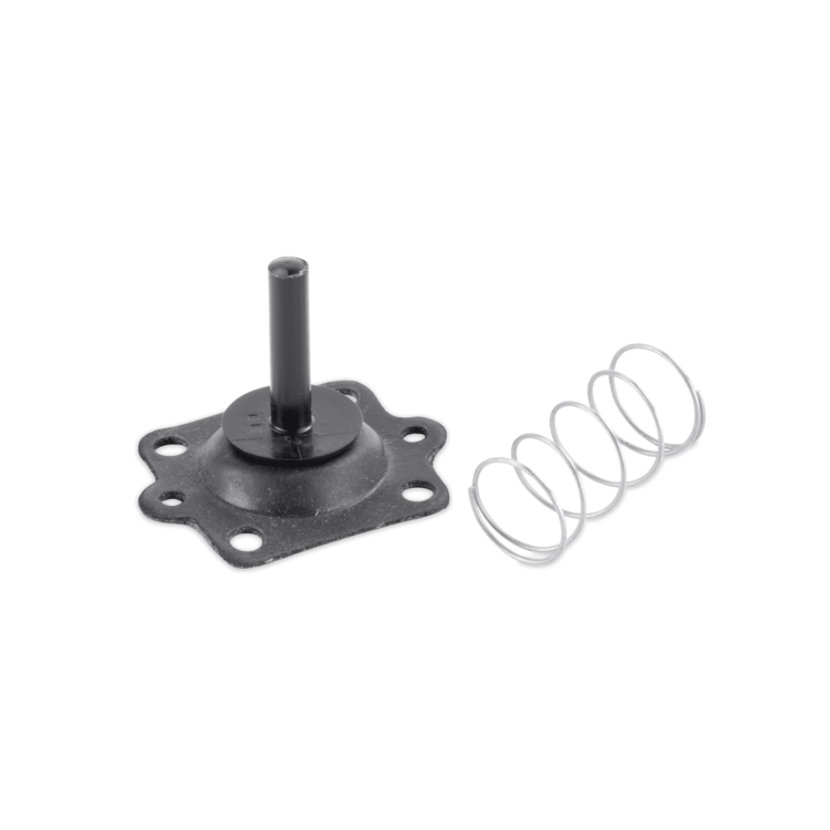 A black metal mechanical component with a central post and flanged base, shown next to a silver coil spring on a plain white background.