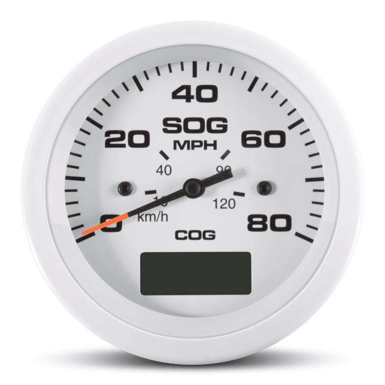 Speedo GPS, Arctic, 80 MPH