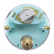 A circular light aqua plastic backplate with brass metal fittings, and a white plastic switch, photographed from above on a white background.