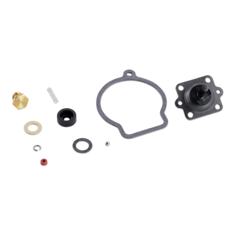 A set of small mechanical gasket and seal parts arranged on a plain white background, including a large black gasket, a black mounting piece with bolt holes, several black and silver O-rings, a brass-colored cap, a small spring, washers, and a tiny red accent piece.