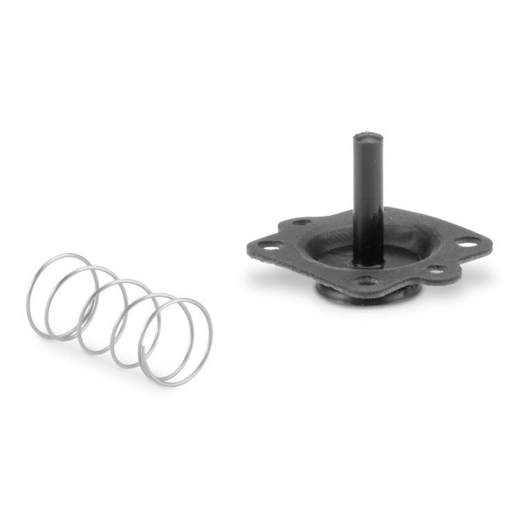 A small mechanical assembly on a white background, featuring a black cast-metal flange with a central post and a separate silver coil spring.