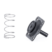 A metal coil spring and a black automotive shock absorber or valve assembly on a plain white background.