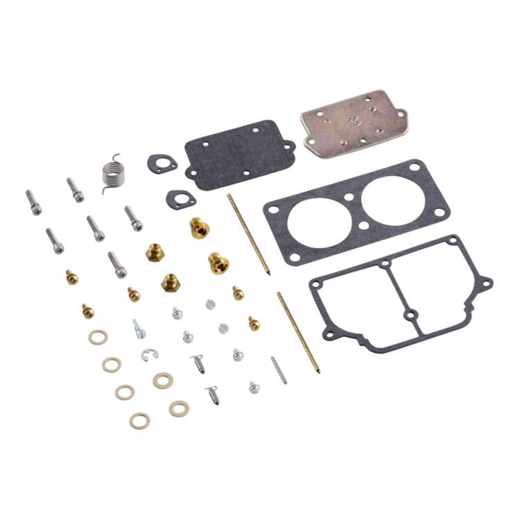 A carburetor disassembly kit with various metal screws, washers, gaskets, and brass components neatly arranged on a solid white background.