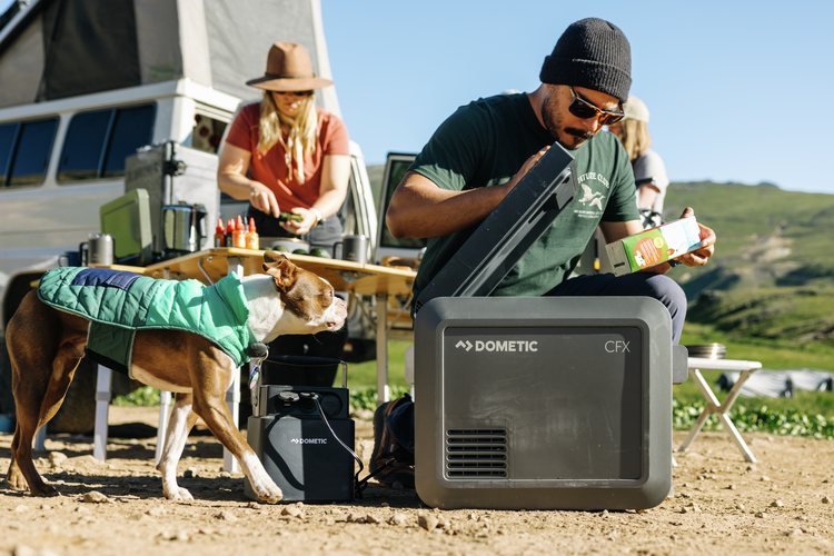 CFX5 25 Electric Cooler