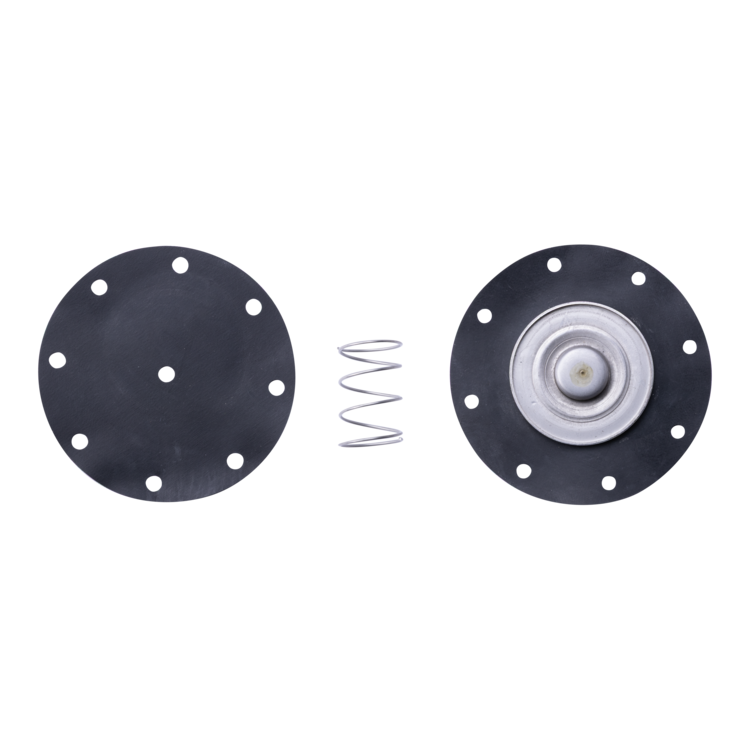A fuel pump diaphragm kit featuring two circular black metal plates with pre-drilled holes and a silver compression spring, displayed on a clean white background.