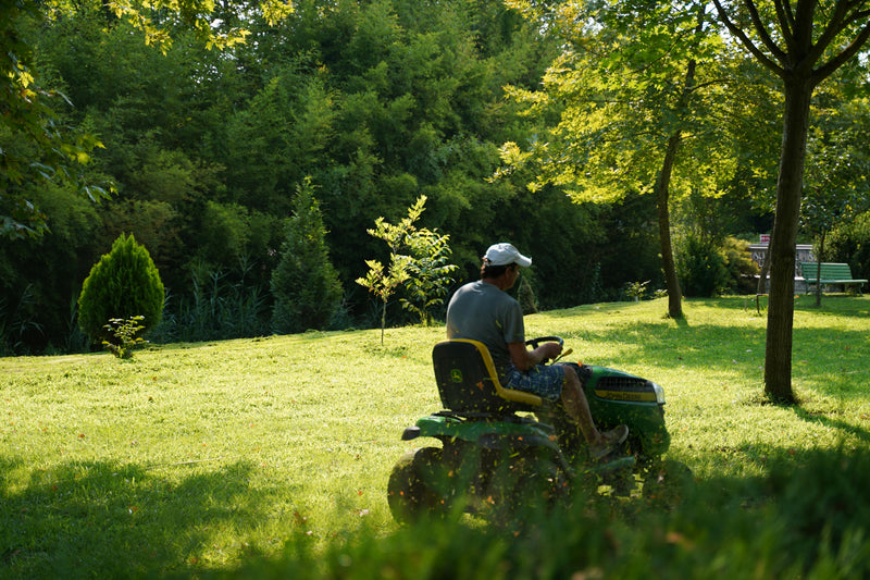 A man on a riding mower in a grass field surrounded by trees and bushes